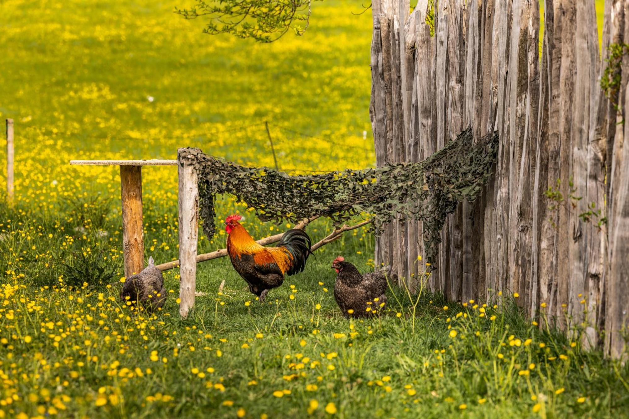 Ferienwohnungen Am Gablerhof Bad Reichenhall Luaran gambar