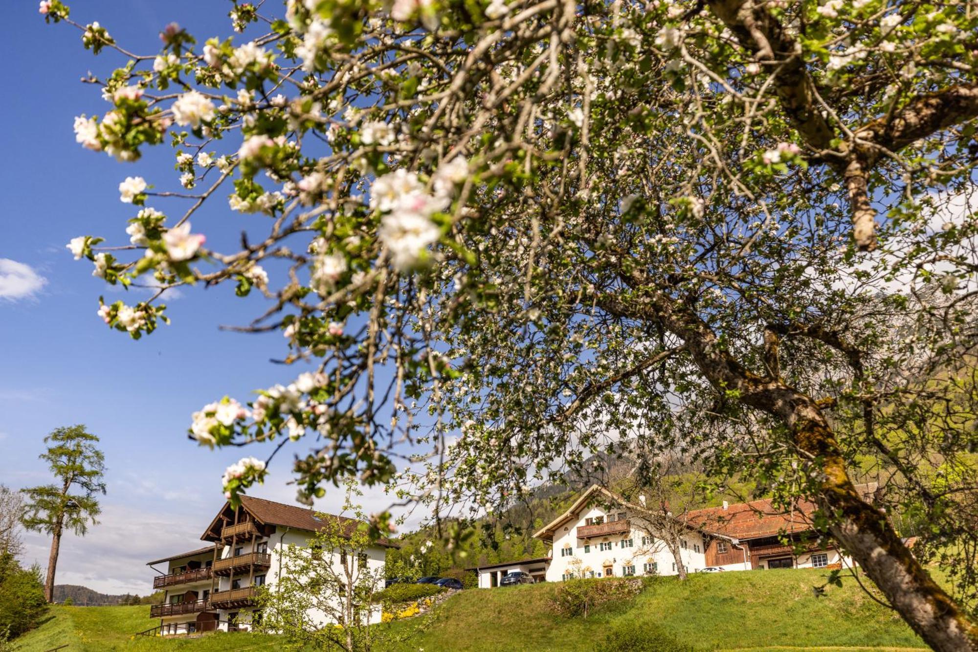 Ferienwohnungen Am Gablerhof Bad Reichenhall Luaran gambar